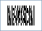 Sample of a Micro PDF417 Barcode