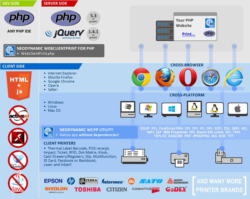 asp.net pdf file from server