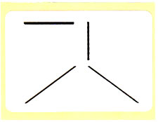 Line Items