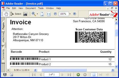 Adobe Reader - [Invoice.pdf]