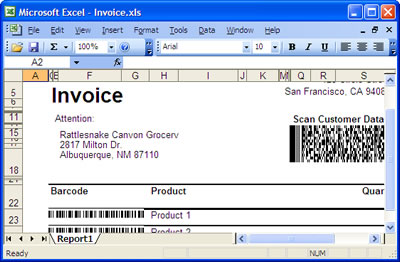 Microsoft Excel - Invoice.xls