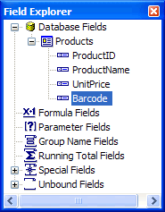 The Products DataTable available in the Field Explorer