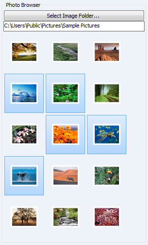 Visual Photo Thumbnails Highlighter
