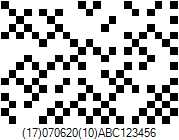DotCode Barcode - Code property = (17)070620(10)ABC123456 with Square modules