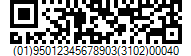 Concatenation of the Pre-Defined Length Element Strings in GS1 Rectangular Micro QR Code barcode