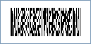 Micro PDF417 Barcode