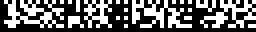 Sample of a DataMatrix Barcode DMRE format