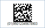 GS1 DataMatrix encoding Global Trade Item Number (GTIN) 95012345678903 - with AI 01 (Shipping Contained Code)