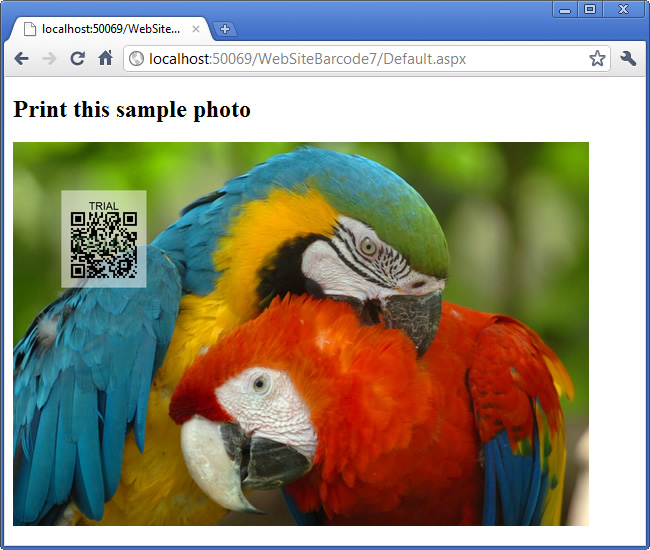 The high quality photo with a dynamically generated QR Code from ASP.NET